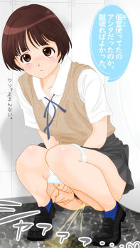 1girl blush brown_eyes brown_hair dedenden_(pixiv30568724) female_pubic_hair highres original panties panty_pull peeing peeing_on_floor pubic_hair public_bathroom puddle pussy school_uniform solo squatting uncensored underwear urinal
