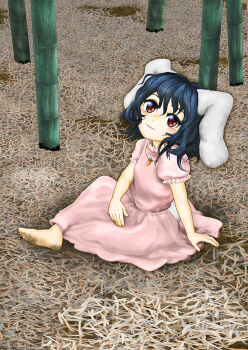1girl animal_ears bamboo bamboo_forest black_hair blush carrot_necklace dirty_soles dress forest inaba_tewi jewelry kams looking_at_viewer nature necklace nose_blush pink_dress puffy_sleeves rabbit_ears rabbit_tail red_eyes short_hair short_sleeves sitting tail touhou