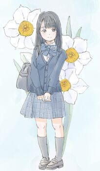 Rule 34 | 1girl, bag, blue background, blue bow, blue bowtie, blue cardigan, blue skirt, blunt bangs, blush, bow, bowtie, breasts, brown eyes, brown shoes, buttons, cardigan, check commentary, closed mouth, commentary request, daffodil, dot nose, flower, full body, grey hair, grey socks, highres, loafers, looking at viewer, original, parted bangs, plaid bow, plaid bowtie, plaid clothes, plaid skirt, pleated skirt, poranka (porankaran), school bag, school uniform, shirt, shoes, simple background, skirt, sleeves past wrists, small breasts, smile, socks, solo, standing, thighhighs, white shirt, zettai ryouiki