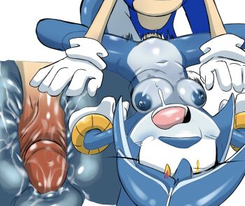 1boy 1girl nipples nude penis pussy sex sonic_(series) sonic_the_hedgehog tempest_the_dolphin yellow_eyes