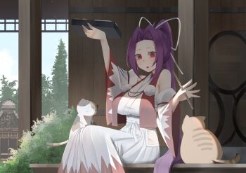 Rule 34 | 1girl, @ @, absurdres, bento, calico (pattern), calico cat, cat, chest sarashi, chopsticks, clothing cutout, commentary, detached sleeves, hair intakes, hair ribbon, hakama, highres, hip vent, holding, holding bento, holding chopsticks, japanese clothes, kimono, long hair, looking at viewer, meira (touhou), no noru, open mouth, orange cat, ponytail, purple hair, red eyes, ribbon, sarashi, sitting, solo, touhou, touhou (pc-98), white hakama, white kimono, white ribbon, wide sleeves