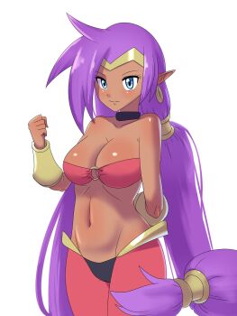 1girl blue_eyes bra bracelet breasts dark-skinned_female dark_skin earrings jewelry large_breasts long_hair pants pointy_ears purple_hair ruru_(sonicboom30813) shantae shantae_(series) twintails underwear very_long_hair white_background