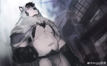 1boy abs absurdres angryhuiye animal_ears bara beard belly bright_pupils bulge chest_hair cowboy_shot dutch_angle facial_hair full_beard furry furry_male grey_fur highres hood hood_up huge_eyebrows jockstrap large_pectorals male_focus male_underwear mature_male muscular muscular_male navel no_pants original pectorals red_eyes short_hair solo standing stomach strongman_waist thick_thighs thighs two-tone_fur underpec underwear white_fur wolf_boy wolf_ears