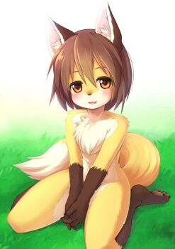 Rule 34 | 1girl, animal ears, barefoot, blush, brown eyes, female focus, furry, furry female, kagerofu, looking at viewer, solo, standing, tail