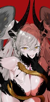 1girl absurdres black_panties breasts demon_girl demon_horns demon_wings fate/grand_order fate_(series) green_eyes grey_hair grey_wings hair_on_horn highres hil199 horns large_breasts lilith_(fate) lilith_(third_ascension)_(fate) long_hair panties skeletal_hand snake solo underwear wings