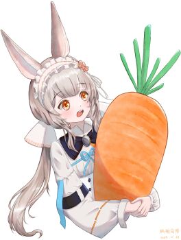 1girl animal_ears arknights blue_ribbon blush carrot chinese_commentary commentary_request cropped_torso dated feng_tang_shuangjiang food frilled_hairband frills grey_hair hairband highres holding holding_food long_hair long_sleeves open_mouth orange_eyes oversized_food oversized_object ribbon ribbon-trimmed_hairband ribbon-trimmed_sleeves ribbon_trim simple_background solo teeth upper_teeth_only warmy_(arknights) white_background white_hairband