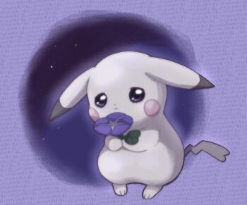 alternate_form ears_down flower full_body gen_1_pokemon highres holding holding_flower nintendo no_humans peakychu pikachu pokemon pokemon_(creature) pokemon_focus pokemon_pokopia solo tail wataboshi