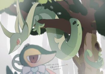 Rule 34 | absurdres, bow, brown eyes, commentary request, gen 5 pokemon, highres, looking at viewer, nintendo, no humans, pokemon, pokemon (creature), pokemon focus, reaf lv2, red eyes, serperior, snake, snivy, tree, twitter username