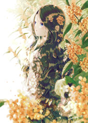 Rule 34 | 1girl, absurdres, black hair, blue eyes, blurry, depth of field, floral print, flower, from behind, gold osmanthus, hair flower, hair ornament, highres, japanese clothes, kimono, leaf, long hair, long sleeves, looking to the side, orange flower, original, osmanthus, parted bangs, parted lips, seikai meguru, signature, solo, tree, upper body, wavy hair, white background, white kimono