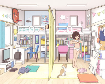 Rule 34 | 1boy, 1girl, absurdly detailed composition, brother and sister, brown hair, carpet, cat, chabudai, chair, commentary, curtains, desk, dressing, fixed-point camera, indoors, kiyo (kyokyo1220), korilakkuma, loaded interior, loft bed, mirror, ohtani shohei, on bed, original, panties, poster (object), rilakkuma, san-x, shirt, short hair, siblings, sleeping, standing, stuffed animal, stuffed toy, table, teddy bear, television, time lapse, under covers, underwear, white panties, white shirt, window