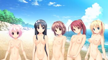 10s 5girls beach black_hair blonde_hair braid breasts brown_eyes brown_hair cloud fukami_nagisa game_cg green_eyes groin hair_ribbon highres kagurazaka_namine kitami_minamo koigakubo_chihaya koutaro lineup loli long_hair looking_at_viewer multiple_girls navel nipples no_pussy nude ocean pink_eyes pink_hair ponytail purple_eyes red_hair ribbon short_hair small_breasts standing takara_ichiko take_your_pick tree tropical_kiss tropical_vacation twinkle_(company) water waves wood yellow_eyes