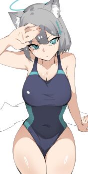 1girl absurdres animal_ear_fluff animal_ears black_one-piece_swimsuit blue_archive blue_eyes breasts competition_swimsuit covered_navel cross_hair_ornament extra_ears grey_hair hair_ornament halo highres looking_at_viewer medium_breasts medium_hair mismatched_pupils multicolored_swimsuit official_alternate_costume one-piece_swimsuit shading_eyes shiroko_(blue_archive) shiroko_(swimsuit)_(blue_archive) sitting solo swimsuit vertin_(u_vertin) wolf_ears