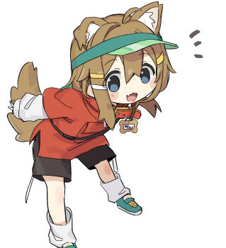 1girl :d ahoge animal_ear_fluff animal_ears black_shorts blue_eyes blush_stickers brown_hair collar commentary dog_ears dog_girl dog_tail double-parted_bangs fang full_body fusazakura green_hat green_shoes hair_between_eyes hat highres layered_sleeves long_hair long_sleeves looking_at_viewer mamehinata open_mouth red_collar red_shirt shirt shoes short_over_long_sleeves short_sleeves shorts simple_background skin_fang smile socks solo standing tail visor_cap vrchat white_background white_socks