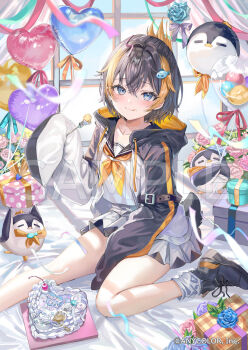 1girl birthday_cake black_hair black_shoes blue_eyes blue_flower blue_rose bouquet box cake closed_mouth commentary_request fish_hair_ornament flower food fork gift gift_box hair_between_eyes hair_ornament happy_birthday hood hoodie indoors long_sleeves looking_at_viewer momoko_(momopoco) multicolored_hair neckerchief nijisanji nijisanji_en official_art orange_hair orange_neckerchief petra_gurin petra_gurin_(1st_costume) pink_flower pink_rose rose sample_watermark shoes short_hair sitting smile socks solo streaked_hair tongue tongue_out virtual_youtuber watermark white_socks