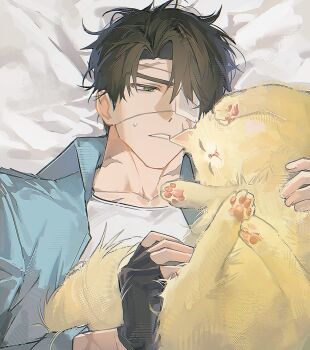 1boy animal babohogu bed black_gloves black_hair blue_jacket cat character_request clenched_teeth collared_jacket cross_scar curtained_hair eyepatch fingerless_gloves gloves gwechul hair_over_one_eye highres holding holding_animal jacket looking_at_another lying medical_eyepatch on_back scar scar_on_arm shirt short_hair sweatdrop teeth upper_body white_shirt yellow_cat