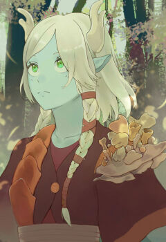 1girl blonde_hair braid brown_jacket character_request check_character closed_mouth collarbone commentary dungeon_meshi elf forest frown green_eyes highres horns jacket long_hair marcille_donato mushroom nature pointy_ears red_shirt rou3ou shirt short_sleeves solo symbol-only_commentary tree twin_braids upper_body