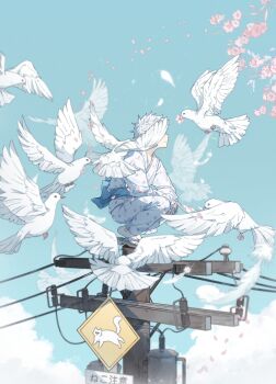 1boy absurdres bird blue_sash cherry_blossoms chinese_commentary cloud commentary_request day gojou_satoru hakama hakama_pants highres japanese_clothes jujutsu_kaisen kimono male_focus obi outdoors pants pigeon power_lines print_kimono road_sign sash short_hair sign solo squatting utility_pole white_bird white_hair zhenming_zoey