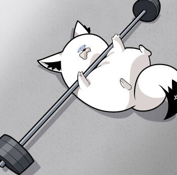 absurdres animalization asphyxiation barbell cocomayo29_(tomato) commentary_request exercising floor foaming_at_the_mouth fox from_above highres hololive korean_commentary no_humans photo-referenced shirakami_fubuki shirakami_fubuki_(fox) turn_pale virtual_youtuber weightlifting weights