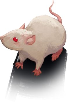 Rule 34 | angela he, animal focus, full body, head tilt, looking at viewer, mouse (animal), no humans, non-web source, official art, red eyes, shadow, stop burying me alive beautiful!, transparent background, white fur