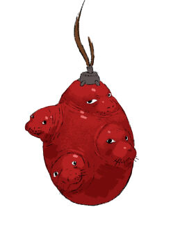 behelit berserk black_eyes looking_at_viewer no_humans parody seal_(animal) simple_background sirfrancisdrake what white_background