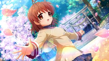 Rule 34 | 1girl, antenna hair, artist request, blue skirt, brown eyes, brown hair, brown jacket, cherry blossoms, clannad, crossover, furukawa nagisa, game cg, highres, higurashi no naku koro ni, higurashi no naku koro ni mei, hikarizaka private high school uniform, jacket, long sleeves, medium hair, non-web source, official art, open mouth, outdoors, petals, pink petals, school uniform, skirt, smile, solo, sparkle, sunlight, torii