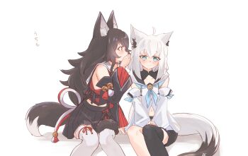 2girls ahoge animal_ear_fluff animal_ears arm_support black_hair black_shirt black_shorts black_skirt black_sleeves black_thighhighs blue_eyes blue_neckerchief chamomile_(kazumasa) commentary_request cowboy_shot detached_sleeves fox_ears fox_girl fox_tail hand_up highres hololive midriff_peek multiple_girls navel neckerchief ookami_mio ookami_mio_(1st_costume) pleated_skirt sailor_collar shirakami_fubuki shirakami_fubuki_(1st_costume) shirt shorts simple_background single_thighhigh sitting skirt tail thighhighs translated virtual_youtuber white_background white_hair white_sailor_collar white_thighhighs wolf_ears wolf_girl wolf_tail yellow_eyes yuri