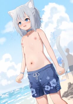 1girl absurdres animal_ears beach blue_eyes blue_sky blurry blurry_background breasts cat_ears cat_girl cat_tail cloud commentary_request crossdressing day depth_of_field exhibitionism highres hinata_(user_rjkt4745) jewelry loli male_swimwear male_swimwear_challenge navel necklace nipples ocean original outdoors paid_reward_available people public_indecency sky small_breasts solo_focus swim_trunks tail