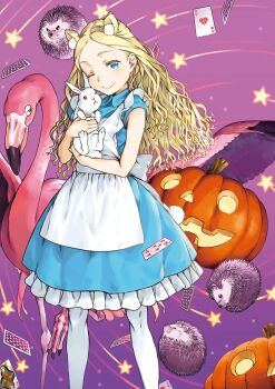 1girl absurdres alice_anotherbible animal animal_ears apron bird blonde_hair blue_dress blue_eyes card child closed_mouth cover cover_page dress flamingo frilled_dress frilled_skirt frills haimura_kiyotaka hedgehog highres holding holding_animal jack-o&#039;-lantern long_hair looking_at_viewer novel_cover official_art one_eye_closed pantyhose parted_bangs parted_hair playing_card pumpkin short_sleeves skirt smile solo standing textless_version toaru_majutsu_no_index toaru_majutsu_no_index:_genesis_testament wavy_hair white_apron white_pantyhose white_rabbit_(alice_in_wonderland)