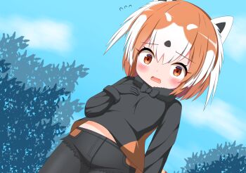 1girl black_bow black_bowtie black_gloves black_hair black_pantyhose black_shirt black_shorts blue_sky blush bow bowtie brown_eyes brown_hair cloud day dutch_angle flying_sweatdrops fur_collar gloves hair_between_eyes hand_up highres kemono_friends looking_at_viewer multicolored_hair open_mouth outdoors pantyhose pantyhose_under_shorts red_panda_(kemono_friends) red_panda_ears red_panda_girl red_panda_tail shin01571 shirt short_shorts shorts sky solo two-tone_hair wavy_mouth white_hair