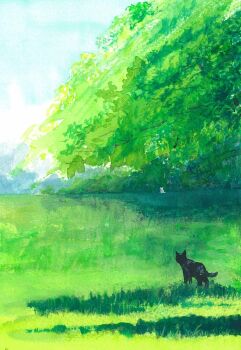 animal animal_focus black_cat blue_sky cat commentary_request day goma_ramen_(gomaramen888) grass highres no_humans original outdoors scenery shade sky white_cat