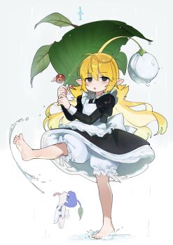 2girls absurdres alternate_costume antenna_hair apron barefoot black_dress black_eyes blonde_hair bloomers blue_pikmin deformed dress enmaided frilled_apron frills highres holding holding_leaf hufy invisible_floor leaf leaf_umbrella leg_up lily_pad long_hair looking_at_viewer looking_to_the_side maid mini_person minigirl multiple_girls nintendo on_water open_mouth personification petite pikmin_(series) plant_hair pointy_ears rain simple_background solid_circle_pupils splashing standing standing_on_one_leg underwear water white_apron white_background white_bloomers yellow_pikmin