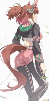 1girl absurdres ahoge animal_ears ass black_leggings brown_eyes brown_hair brown_tail commentary_request dantsu_flame_(center_spotlight)_(umamusume) dantsu_flame_(umamusume) ear_covers from_behind highres horse_ears horse_girl horse_tail leggings looking_at_viewer midriff open_mouth pink_shorts ponytail profnote shorts sideways_glance simple_background smile solo tail teeth umamusume upper_teeth_only white_background white_streaks