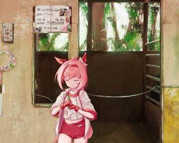 1girl animal_ears bow buruma ear_bow ear_covers gym_uniform haru_urara_(bestest_prize)_(umamusume) haru_urara_(umamusume) headband highres horse_ears horse_girl horse_tail pink_buruma pink_headband real_life real_world_location red_buruma red_headband rika-kiyoshi solo tail umamusume