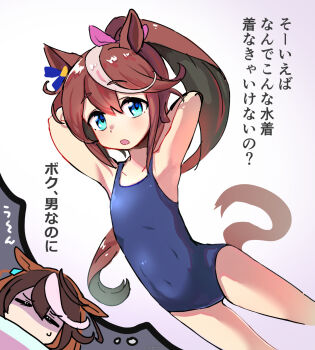 2girls animal_ears blue_eyes blue_one-piece_swimsuit brown_hair commentary_request dreaming flat_chest highres horse_ears horse_girl horse_tail long_hair looking_at_viewer multicolored_hair multiple_girls one-piece_swimsuit ponytail streaked_hair swimsuit symboli_rudolf_(umamusume) tail tokai_teio_(umamusume) translation_request tsukusawa_(tukunesour) umamusume