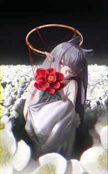 1girl absurdres alternate_costume bare_arms black_background blunt_bangs commentary dress english_commentary field floomf flower flower_field halo head_tilt highres hololive hololive_english knees_up long_dress long_hair looking_at_viewer ninomae_ina'nis outdoors pointy_ears purple_eyes purple_hair red_flower sitting sleeveless sleeveless_dress solo spaghetti_strap straight-on straight_hair strap_slip very_long_hair virtual_youtuber white_dress white_flower