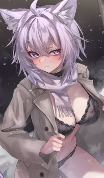 1girl absurdres ahoge animal_collar animal_ear_fluff animal_ears black_bra black_collar black_panties bra breasts cat_ears cat_girl cleavage closed_mouth coat collar commentary crossed_bangs double-parted_bangs exhibitionism grey_coat grey_scarf hair_between_eyes highres hololive messy_hair navel nearly_naked_coat nekomata_okayu night outdoors panties public_indecency purple_eyes purple_hair rei_(9086) scarf short_hair snowing solo underwear virtual_youtuber