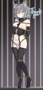 1girl 2025 animal_ear_fluff animal_ears arms_behind_back artist_name bar_censor bare_shoulders bdsm black_boots black_thighhigh_boots black_thighhighs blue_archive blue_eyes blush bondage boots bound bound_arms bound_legs bound_torso breasts cell censored censored_nipples collar cross_hair_ornament detached_sleeves dildo english_text extra_ears female_focus flat_chest garter_straps gimp_suit gimpsuit grey_hair hair_ornament harness heart heart_censor high_heel_boots high_heels highres indoors jewelry loli long_sleeves looking_ahead looking_to_the_side medium_hair messy_hair nipples object_insertion pussy_juice pussy_juice_trail rope september sex_toy shibari shibari_over_clothes shiroko_(blue_archive) sidelocks simple_background skin_tight skindentation slave small_breasts solo sweat sweatdrop thank_you thigh_boots thighhighs thighs tiptoes vaginal vaginal_object_insertion wolf_ears wolf_girl youthpaint
