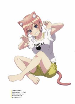 1girl animal_ears animal_print anime_coloring artist_request barefoot blue_eyes blush breasts cat_ears cat_print cat_tail character_name claw_pose collarbone commentary_request crossed_ankles full_body go-toubun_no_hanayome grin kemonomimi_mode large_breasts looking_at_viewer nakano_ichika pink_hair shirt short_hair short_sleeves shorts simple_background single_sidelock sitting smile solo t-shirt tail white_background white_shirt yellow_shorts