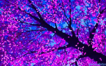 anas_abdin animated cherry_blossoms falling_petals from_below looping_animation no_humans original outdoors petals pixel_art plant plant_focus tagme tree video