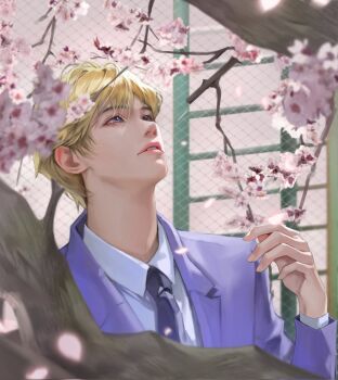 Rule 34 | 1boy, blonde hair, chain-link fence, cherry blossoms, collared shirt, commentary request, falling petals, fence, flower, hair between eyes, highres, jacket, korean commentary, looking up, male focus, necktie, ouran high school host club, ouran high school uniform, outdoors, parted lips, petals, pink flower, pink lips, pink petals, purple eyes, purple jacket, purple necktie, school uniform, shirt, short hair, solo, suit jacket, tae gwang, upper body, white shirt