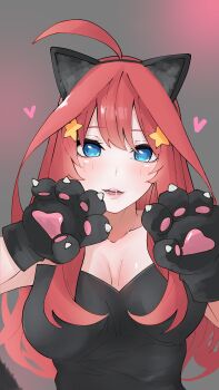 1girl absurdres ahoge alternate_costume animal_ear_hairband animal_ears animal_hands bad_source black_leotard blue_eyes blush breasts breasts_apart cat_ear_hairband cat_ears collarbone fake_animal_ears gloves go-toubun_no_hanayome gradient_background grey_background hair_ornament hairband hands_up heart highres large_breasts ldeeeeeeeeeejo leotard lips long_hair looking_at_viewer nakano_itsuki parted_lips paw_gloves pink_background red_hair saliva solo star_(symbol) star_hair_ornament upper_body