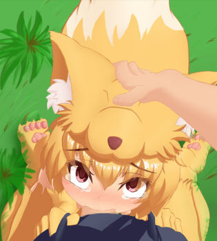 Rule 34 | 1boy, 1girl, aki 32, animal feet, animal hands, blonde hair, blush, censored, commentary request, fellatio, fox girl, fox hat, fox tail, full body, grass, hand on another's head, hetero, highres, irrumatio, looking at viewer, moonlight flower, mosaic censoring, nose blush, oral, penis, pov, pov crotch, ragnarok online, red eyes, short hair, solo focus, tail, tearing up, variant set