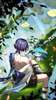 1boy absurdres aimeiyou00 ararycan_(genshin_impact) arm_at_side arm_support armor back_muscles birthmark black_hair black_sandals black_shorts blue_cape blue_sleeves blunt_ends branch bridal_gauntlets cape commentary creature diffraction_spikes facing_away falling_leaves flower furisode genshin_impact gold hakama hakama_shorts hashtag-only_commentary highres instagram_logo instagram_username japanese_armor japanese_clothes kimono kote kurokote leaf leg_warmers lily_(flower) lily_pad male_focus mitsudomoe_(shape) multicolored_hair off_shoulder outdoors pleated_shorts pond purple_hair purple_rope ripples rope sandals scaramouche_(genshin_impact) shorts single_bare_shoulder sitting_on_branch streaked_hair tomoe_(symbol) tree_shade twitter_username twitter_x_logo wanderer_(genshin_impact) white_kimono white_leg_warmers white_trim zouri