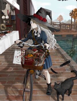 1girl amazu_(uzu_amazu) bag bicycle black_cat black_hat black_shoes black_socks blue_dress bridge cat day dress flower green_eyes grey_hair hat hat_flower highres long_hair long_sleeves looking_to_the_side original outdoors red_flower red_rose riding riding_bicycle rose shoes shopping_bag socks water witch_hat