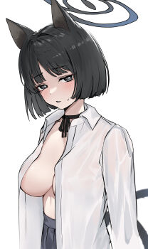 1girl absurdres alternate_costume animal_ears black_choker black_eyes blue_archive blue_halo breasts cat_ears cat_tail choker guwall halo highres kikyou_(blue_archive) multiple_tails naked_shirt shirt simple_background skirt solo tail two_tails white_background white_shirt