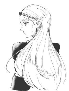 1girl closed_mouth commentary_request greyscale hair_behind_ear highres juliet_sleeves long_hair long_sleeves monochrome nikohakaeritai nintendo official_alternate_costume parted_bangs pointy_ears princess_zelda profile puffy_sleeves royal_guard_set_(zelda) sidelocks simple_background solo the_legend_of_zelda the_legend_of_zelda:_breath_of_the_wild tiara upper_body white_background