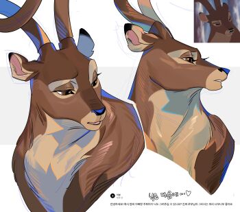 1boy animal_ears antlers bambi_(movie) commentary_request deer deer_antlers deer_boy deer_ears great_prince_of_the_forest_(bambi) highres horns karmaho korean_commentary korean_text looking_down looking_to_the_side male_focus multiple_views no_humans reference_inset translation_request upper_body white_background