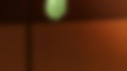 2girls animated anime_screenshot anus ass bdsm bed blonde_hair blush bondage bouncing_breasts bound breasts cervical_penetration cervix cum cum_in_pussy deep_penetration elf fellatio female_orgasm femdom genderswap genderswap_(mtf) green_eyes hanging_breasts headpat highres indoors irrumatio ishuzoku_reviewers large_breasts lymee monster_girl multiple_girls navel nipples open_mouth oral orgasm pointy_ears pussy restrained sex slime_girl sound stomach stomach_bulge sunshad. suspension sweat tentacle_sex tentacles thighs third-party_edit uncensored vaginal video x-ray yuri zel_(ishuzoku_reviewers) zellie