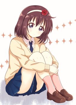 blue_necktie blue_skirt brown_hair brown_shoes child collared_shirt commentary flower full_body headband highres honzoumiz hugging_own_legs knees legs_together long_sleeves necktie oomuro-ke pink_socks pleated_skirt purple_eyes red_flower red_rose rose school_uniform shirt shoes short_hair simple_background sitting skirt socks sweater tareme white_background white_headband white_shirt yaeno_miho yellow_sweater yuruyuri