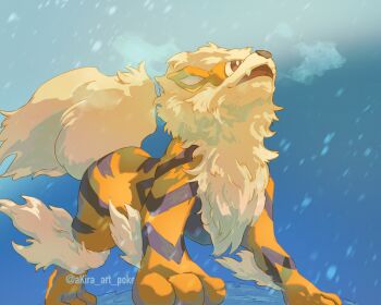 Rule 34 | akira (akira art poke), arcanine, bright pupils, brown eyes, commentary request, fangs, gen 1 pokemon, highres, looking up, nintendo, no humans, open mouth, outdoors, pokemon, pokemon (creature), smile, snowing, solo, standing, watermark